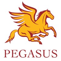 PegasusUnbound logo - Similar company to Icsb Pace | Iot - Cybersecurity - Blockchain Technology Club