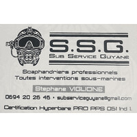 SUB SERVICE GUYANE logo - Similar company to Lufesa Diver'S