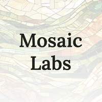 Mosaic Labs logo - Similar company to Mosaic Labs