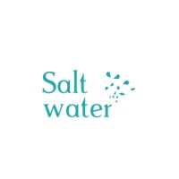 Saltwater Nomads logo - Similar company to Global Nomad Summit