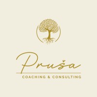 Pruša, Coaching & Consulting logo - Similar company to International Climate Adaptation Research Institute