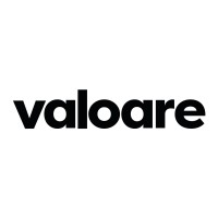 Valoare Software logo - Similar company to Pluritech Brasil