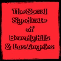 Social Syndicate Professionals logo - Similar company to Quantum Vision Consulting