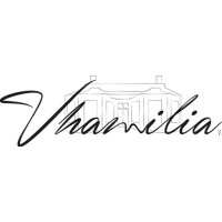 Vhamilia Holding B.V. logo - Similar company to Vconsyst