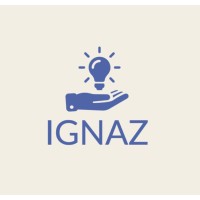 Ignaz Technology logo - Similar company to Big Lemon