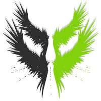 Stichting Project Icarus