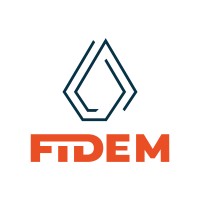 FIDEM Group logo - Similar company to Dkfer