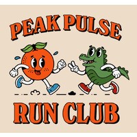 Peak Pulse Run Club logo - Similar company to Curio