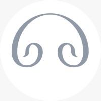 Raindrops Tech Solutions logo - Similar company to 5D Vision