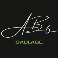 Absis Câblage logo - Similar company to Absis Téléphonie