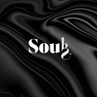 SOUB MARKETING logo - Similar company to Schipper Consultoria