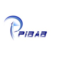 PIBAB S.A logo - Similar company to Labtend