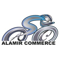 Alamir Commerce - بازرگانی علامیر logo - Similar company to Ibikeiran