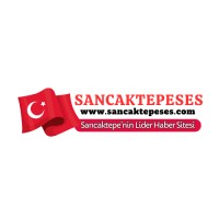 Sancaktepeses logo - Similar company to Sancaktepe Futbol Kulübü