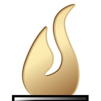 Torchlight Tax and Financial Solutions logo - Similar company to Cloud Castors