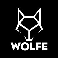 Wolfe Recruitment Group logo - Similar company to Collar®