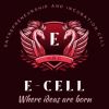 Entrepreneurship and Incubation Cell, H.R. College of Commerce and Economics logo - Similar company to Entrepreneurship And Incubation Cell, Punjab Engineering College (Eic-Pec)