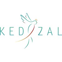 Kedzal logo - Similar company to Hypo-X