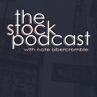 The Stock Podcast | CEO and CFO Interviews logo - Similar company to The Ceo Next Door Podcast