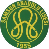 Samsun Anadolu Lisesi logo - Similar company to G101 Communication Solutions