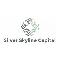 Silver Skyline Capital logo - Similar company to Onezsm Botswana