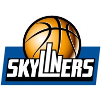 SKYLINERS logo - Similar company to 1Protection.Ai
