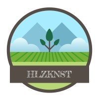 Bernhard Graßl HLZKNST logo - Similar company to Denz  Präzisionsentwicklung