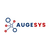 Augment Systems LLC logo - Similar company to Bernstein Autonomous Llp