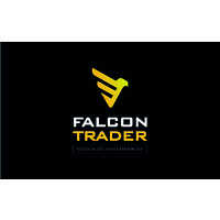 Falcon Trader Institucional logo - Similar company to Mec Solution
