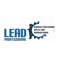 LEAD Professional Staffing logo - Similar company to Lead