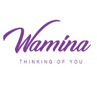 Wamina logo - Similar company to The Dot Creative Media