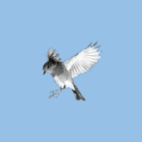 British Legend logo - Similar company to Trade Prices Direct Ltd