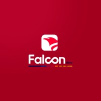 FALCON INTERNET FIBRA logo - Similar company to Wtr Construtora