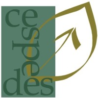 Cespedes logo - Similar company to Cemdes