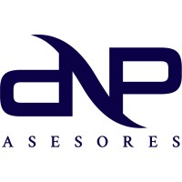 DNP Asesores logo - Similar company to Qubist