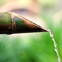 BAMBOO FOR LIFE logo - Similar company to Eco2Blocks