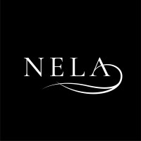 Nela Silk logo - Similar company to Impossible Foundation