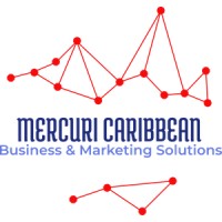 Mercuri Caribbean Ltd logo - Similar company to Reboundtag Global Your 