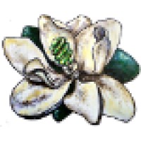 Green Light New Orleans logo - Similar company to C7 Works, Llc
