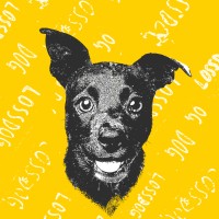 Lossdog logo - Similar company to Live Bash