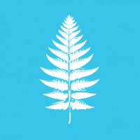 Blue Fern Consulting logo - Similar company to Blue Fern Consulting