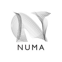 NUMA contemporary logo - Similar company to Arsenale 1104 Srl