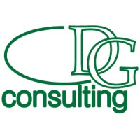 DG consulting logo - Similar company to Transkongur Logistics