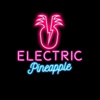 Electric Pineapple Media Group logo - Similar company to Distinctive Promo - Music Promotion