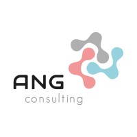 ANG consulting logo - Similar company to Ang Consulting