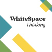 WhiteSpace Thinking logo - Similar company to Davis Data Science Club