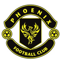 Phoenix FC Academy logo - Similar company to Little Sports Org