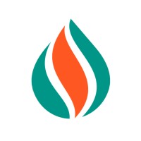 Solitaire Ltd logo - Similar company to Vitalize It