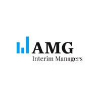 AMG Interim Managers logo - Similar company to Wolf Project Management