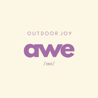 awe activewear logo - Similar company to Creative Coach